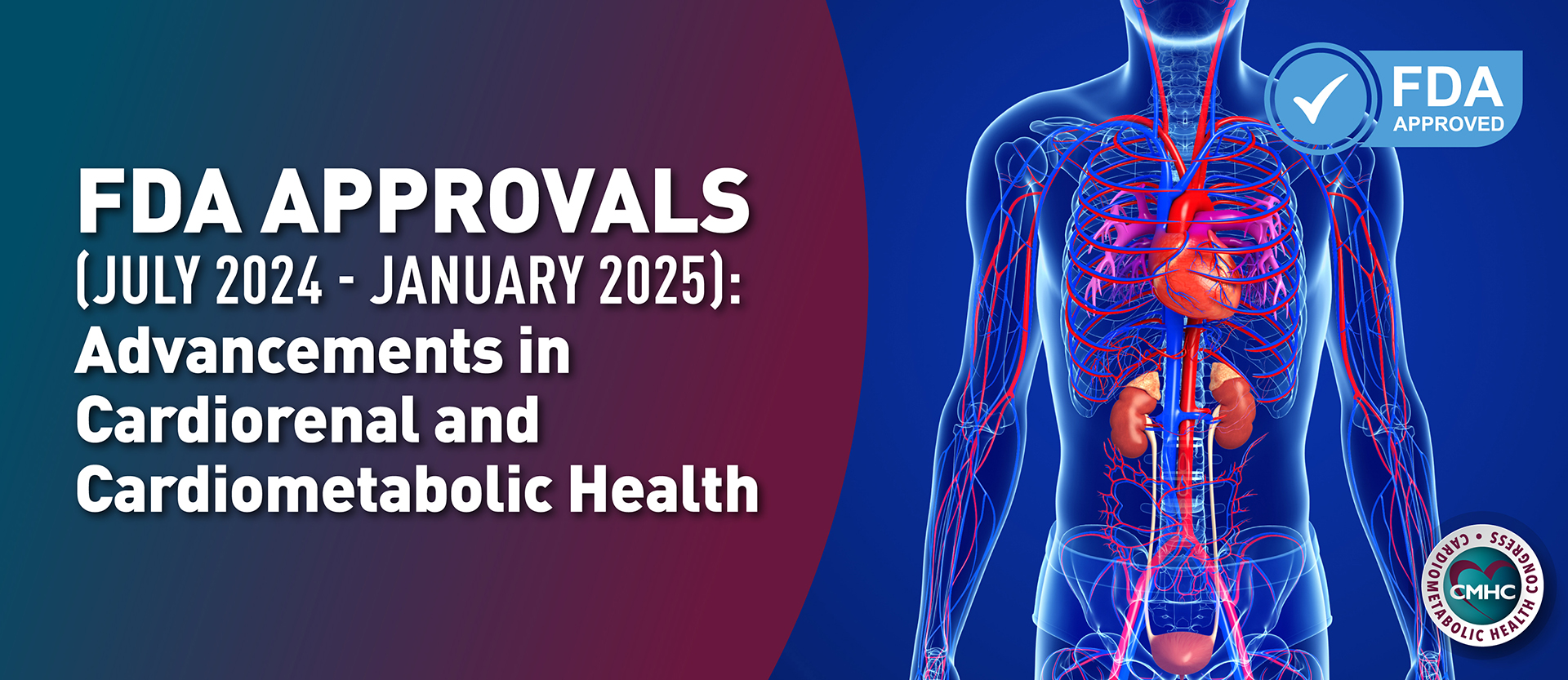 Human anatomy highlighting the cardiovascular and renal systems, with text about FDA approvals in cardiorenal and cardiometabolic health (July 2024 - January 2025).